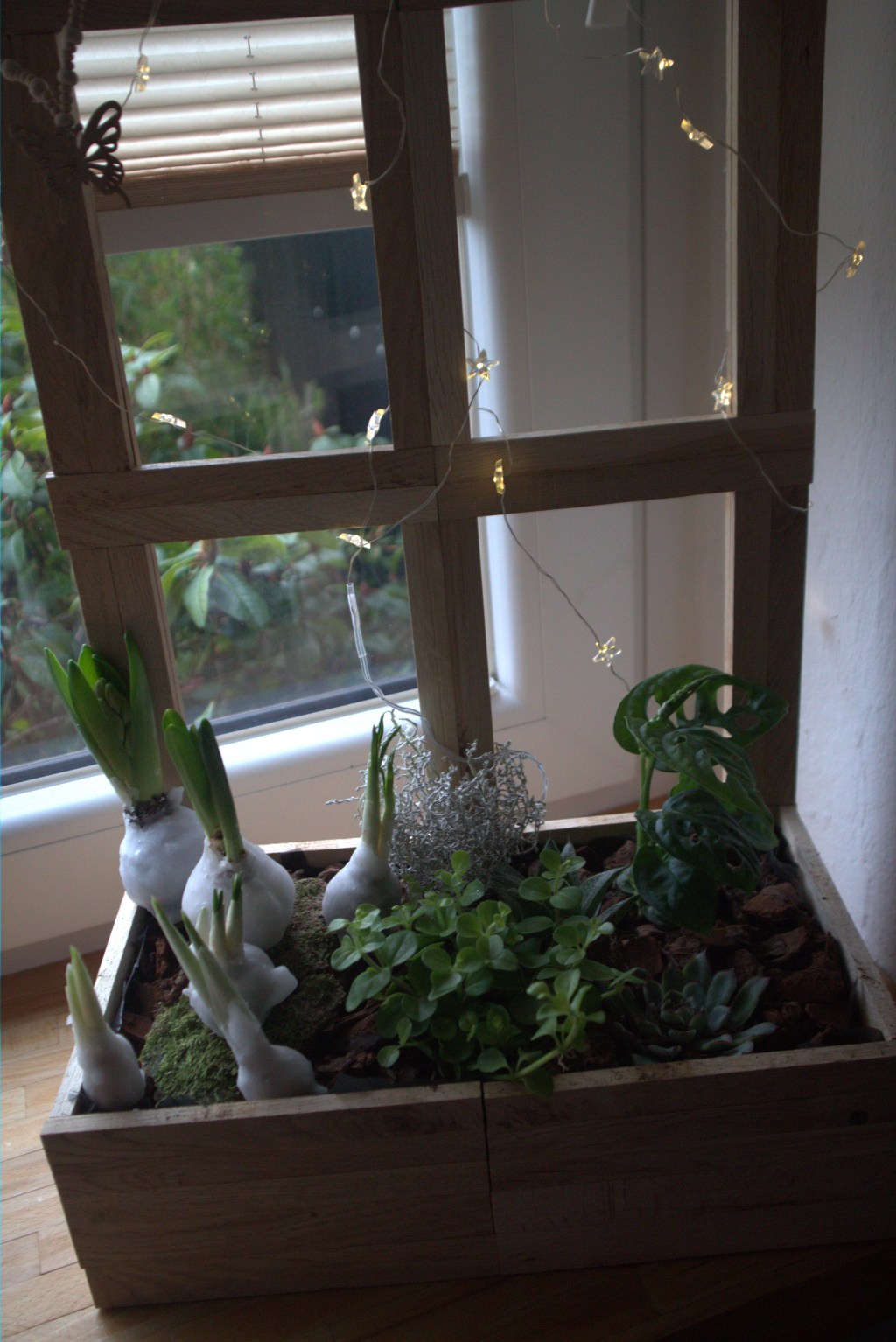 Blumenzwiebeln mit Wachs&nbsp;überziehen